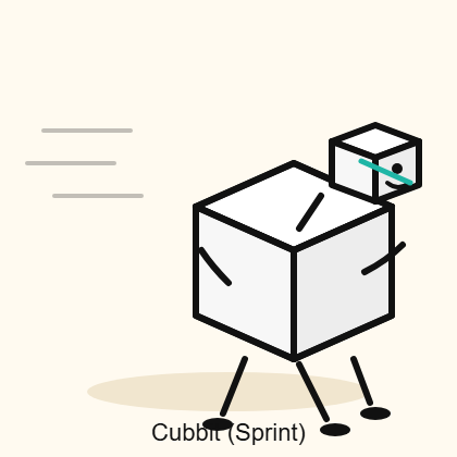 CUBBIT - SPRINT